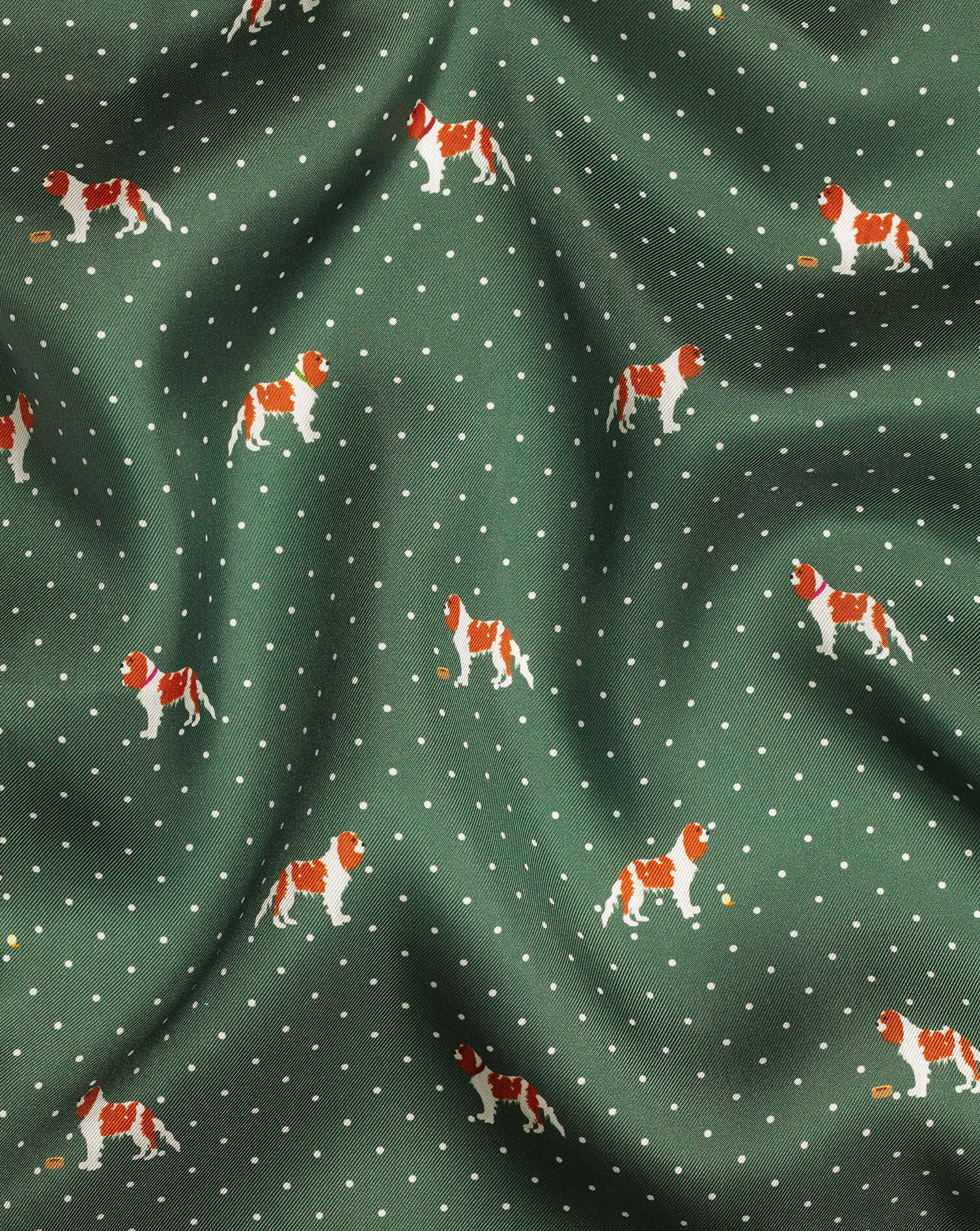 Charles Tyrwhitt Spot and Dog Print Pocket Square - Green