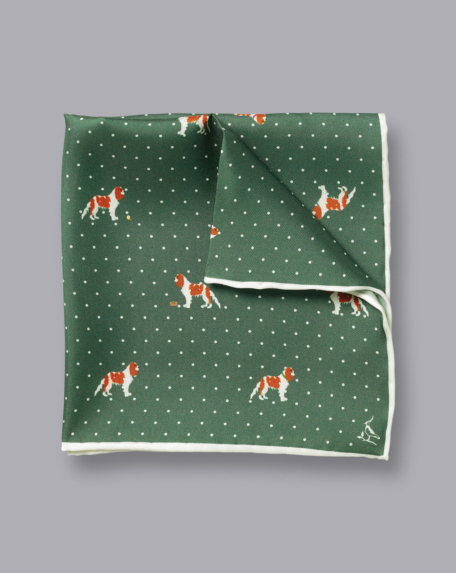 Charles Tyrwhitt Spot and Dog Print Pocket Square - Green