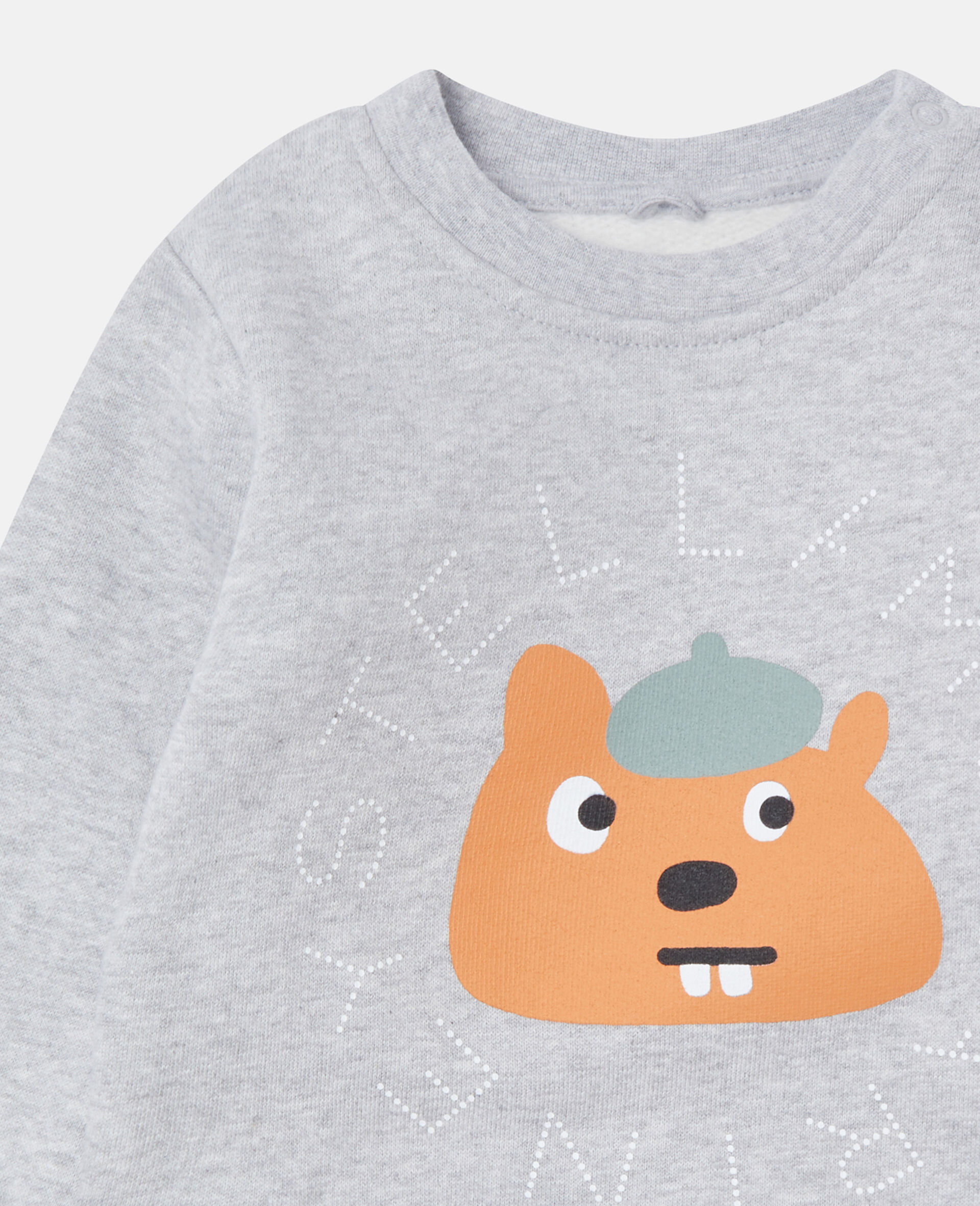 Squirrel Graphic Crewneck Sweatshirt