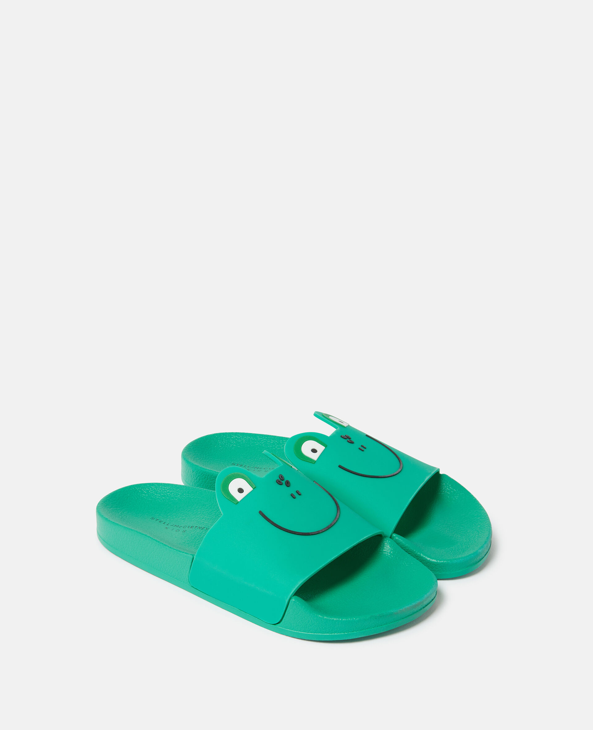 Frog Graphic Slides