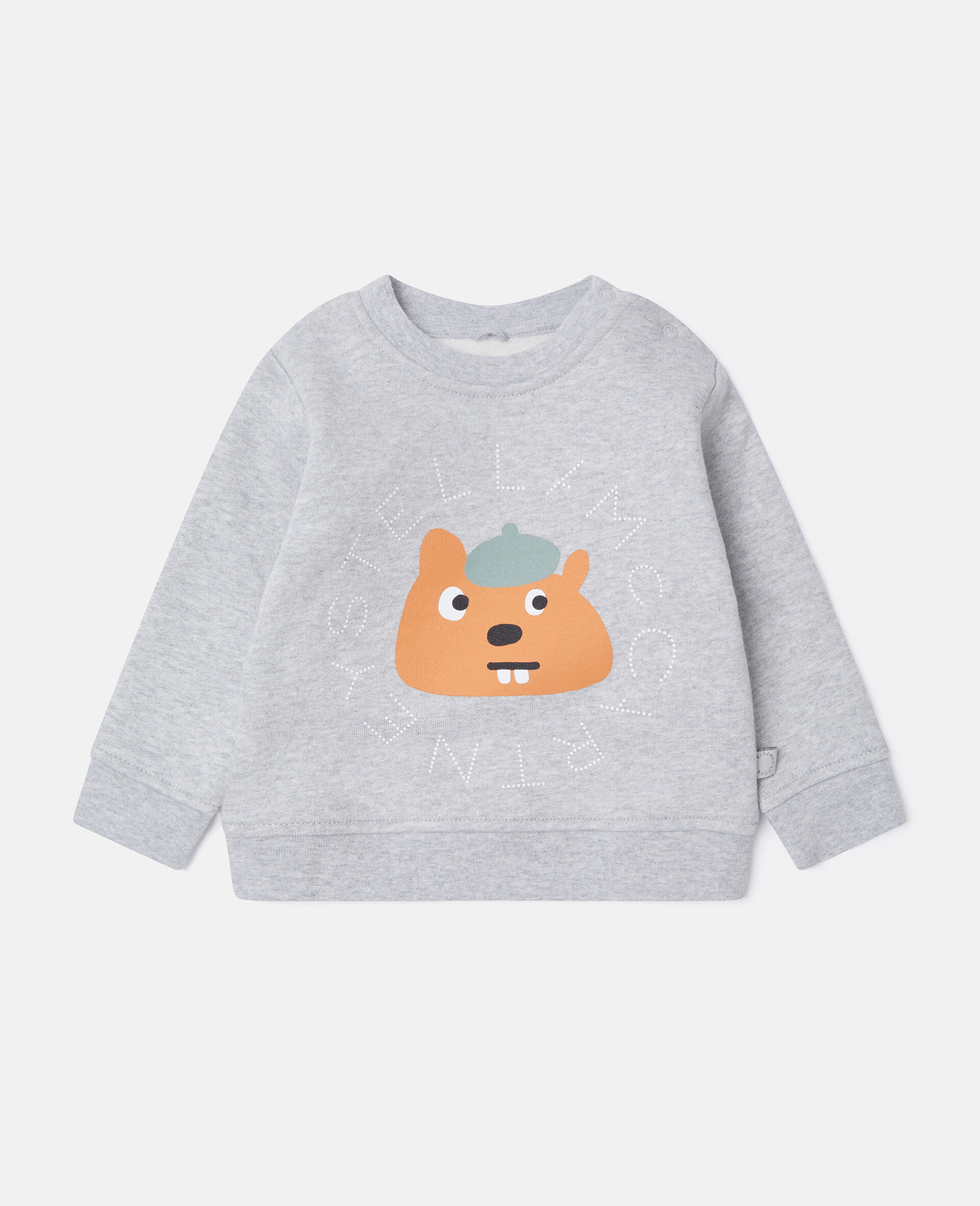 Squirrel Graphic Crewneck Sweatshirt
