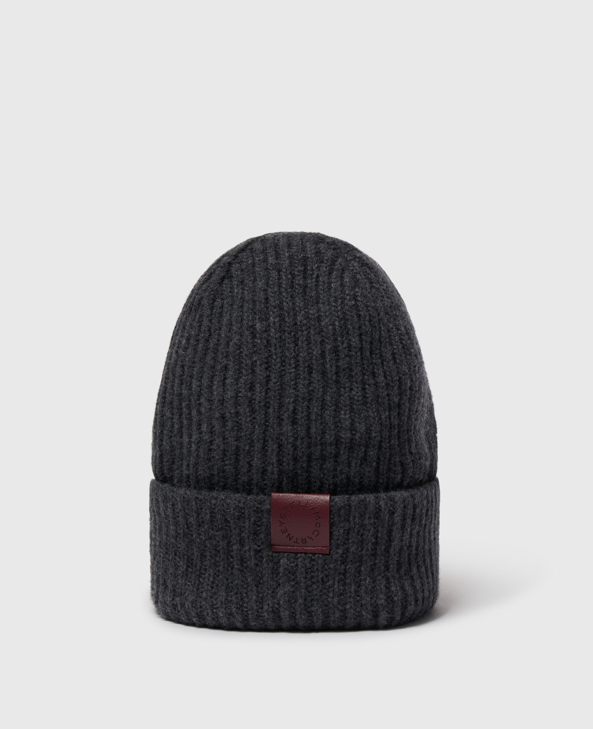 Ribbed Logo Beanie