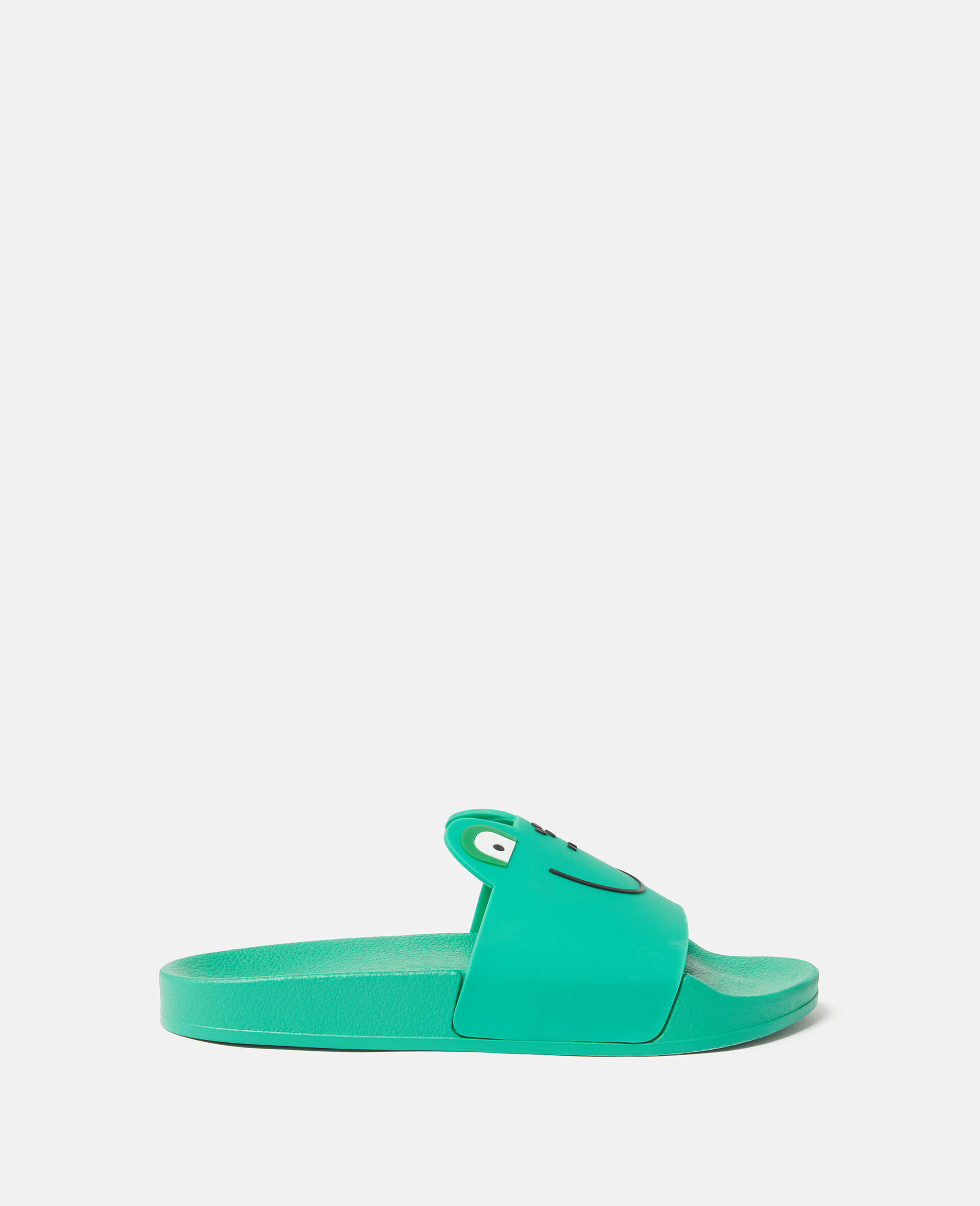 Frog Graphic Slides