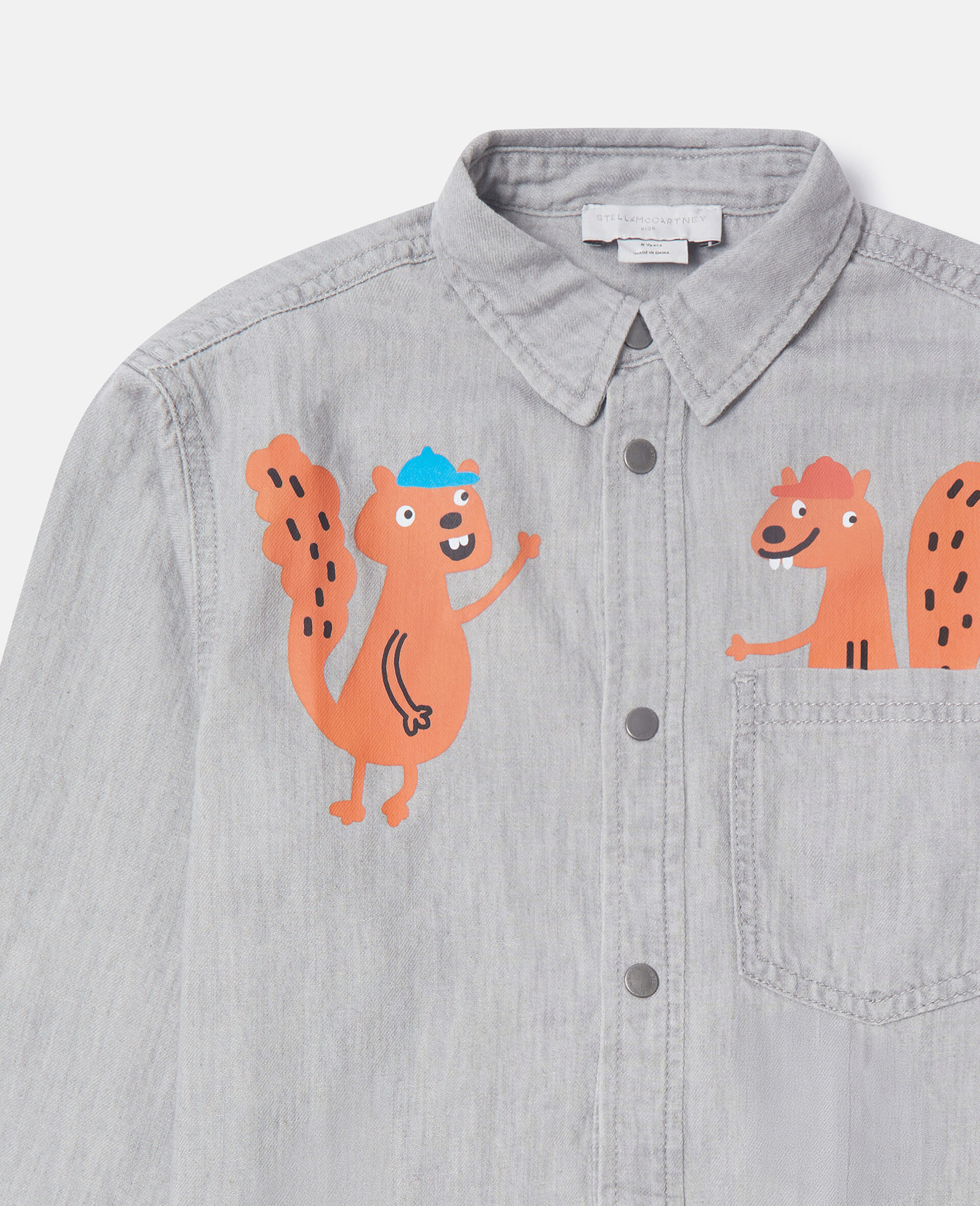 Squirrel Graphic Classic Shirt