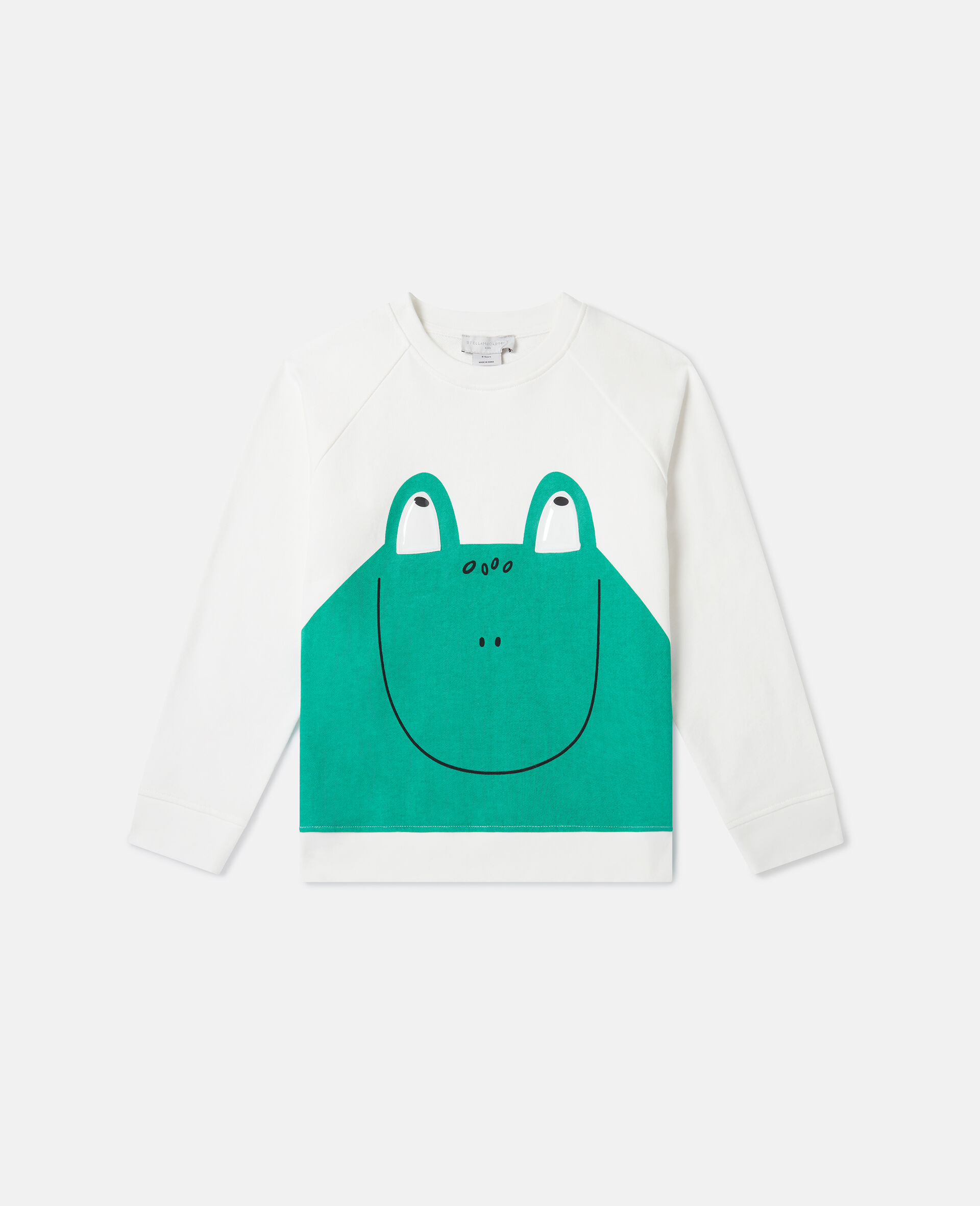 Frog Graphic Crewneck Sweatshirt