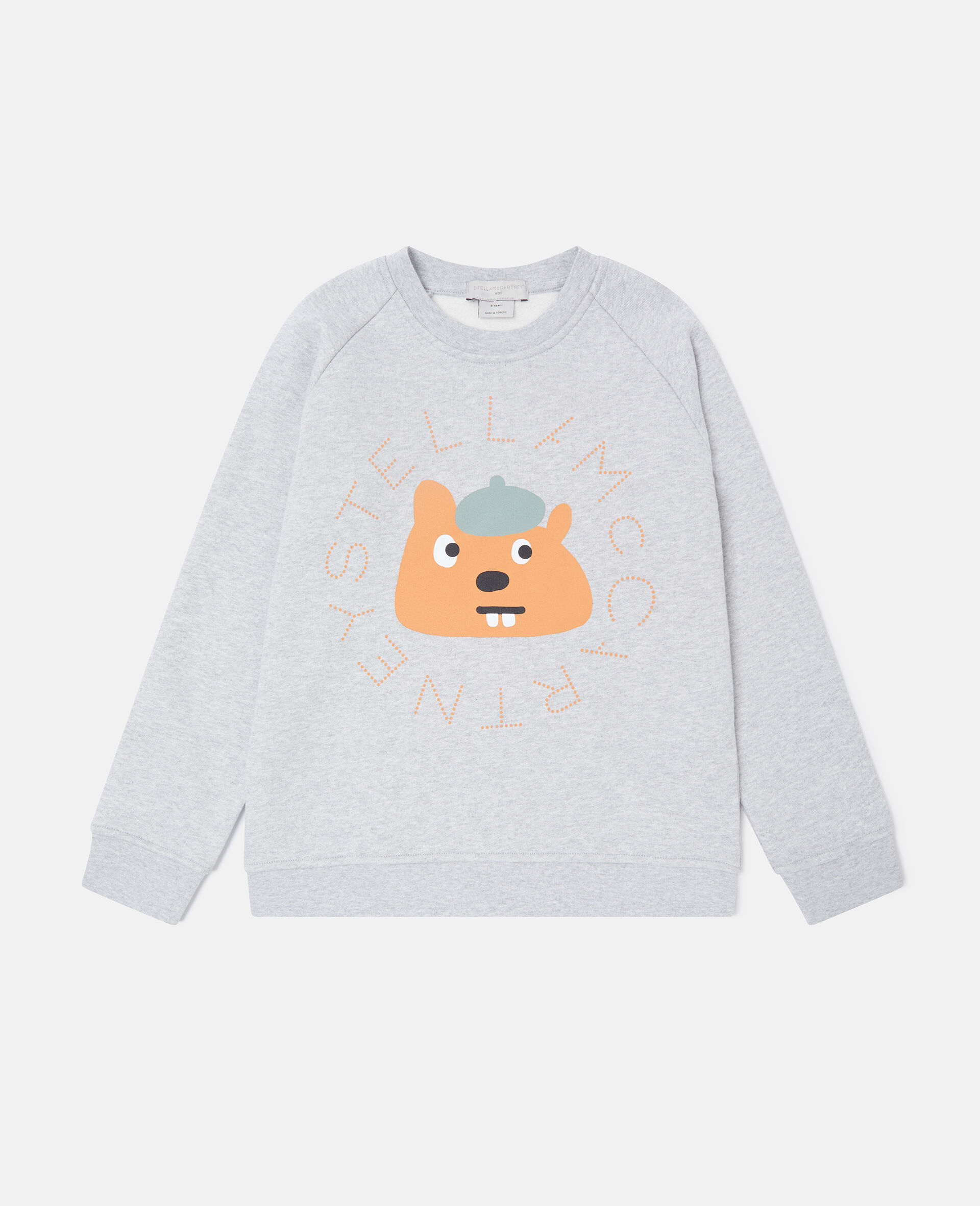 Squirrel Graphic Crewneck Sweatshirt