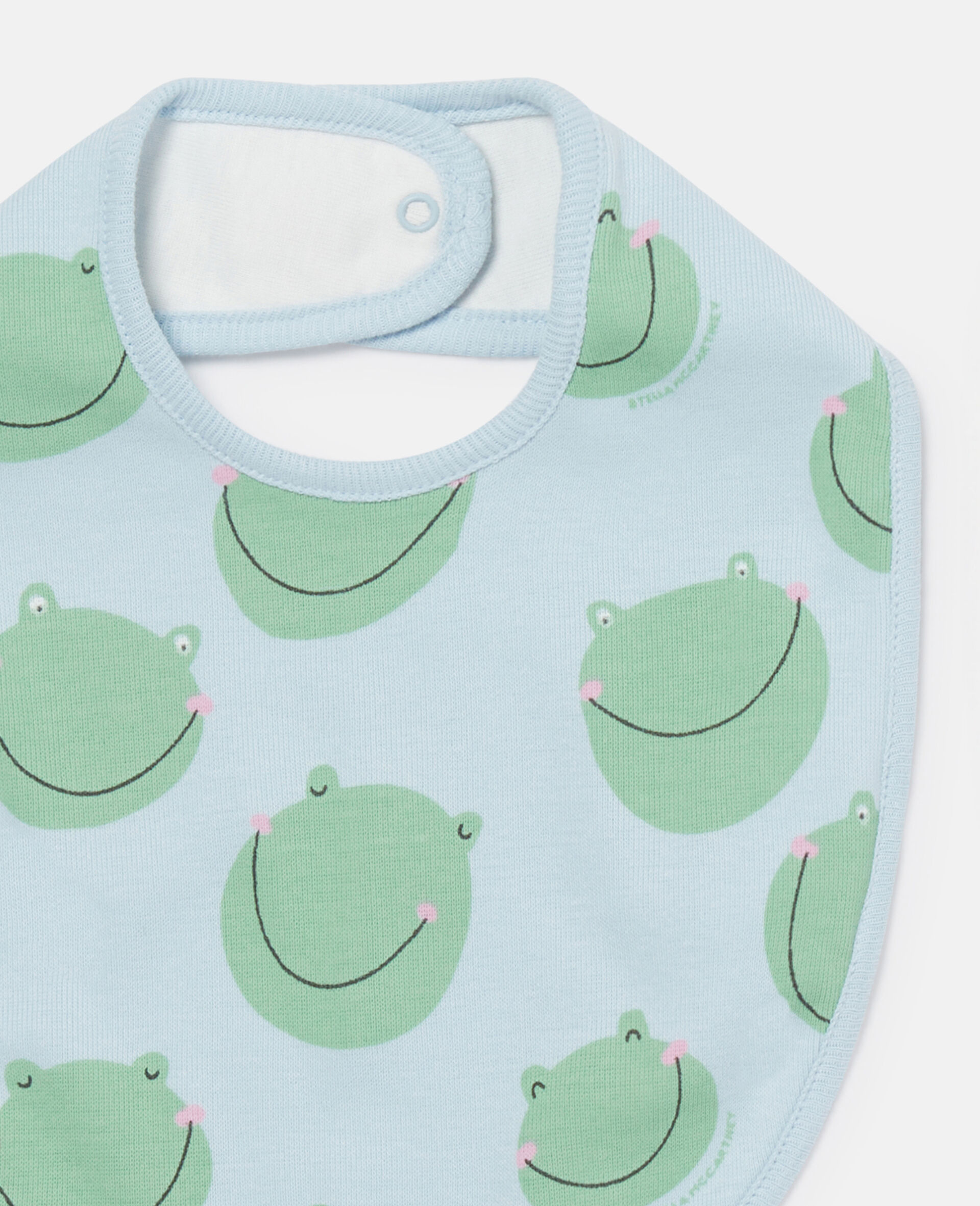 Frog Graphic Print Bib Set