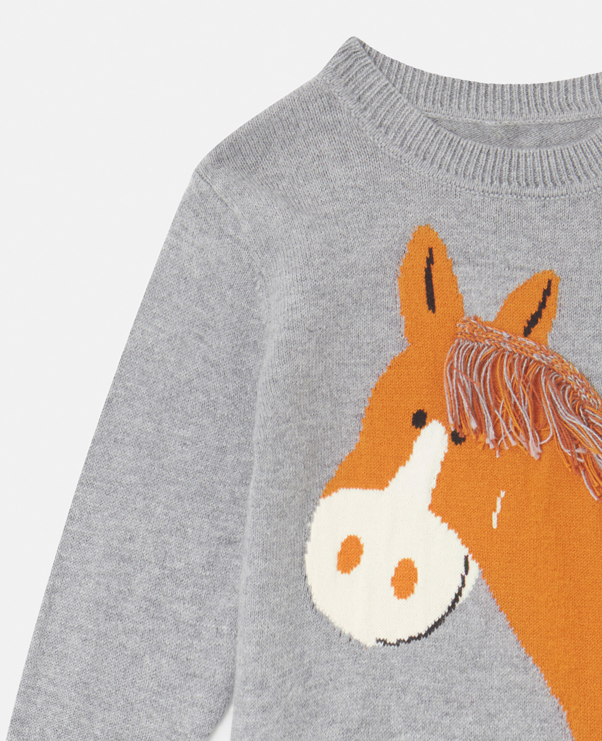 Horse Graphic Fringed Sweatshirt