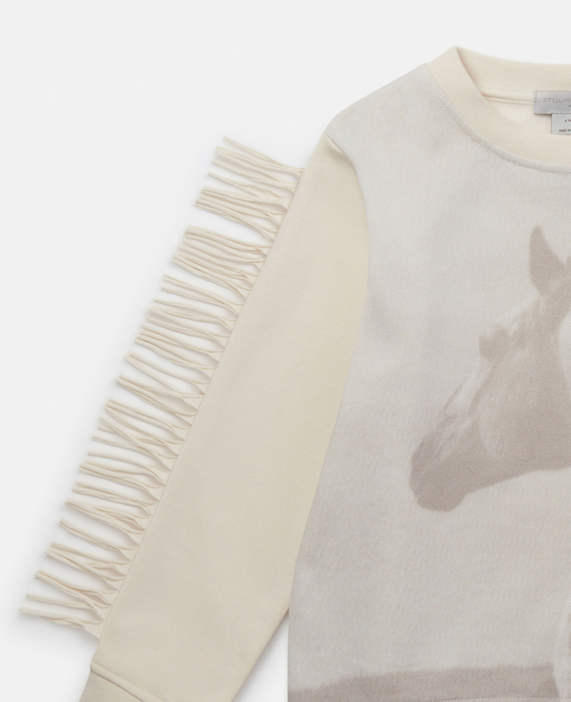Horse Graphic Fringed Sweatshirt
