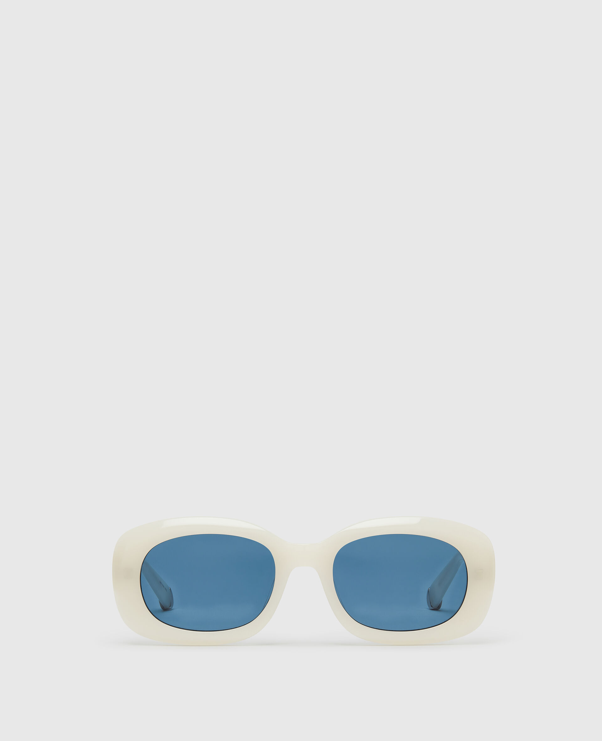 Chunky Oval Sunglasses