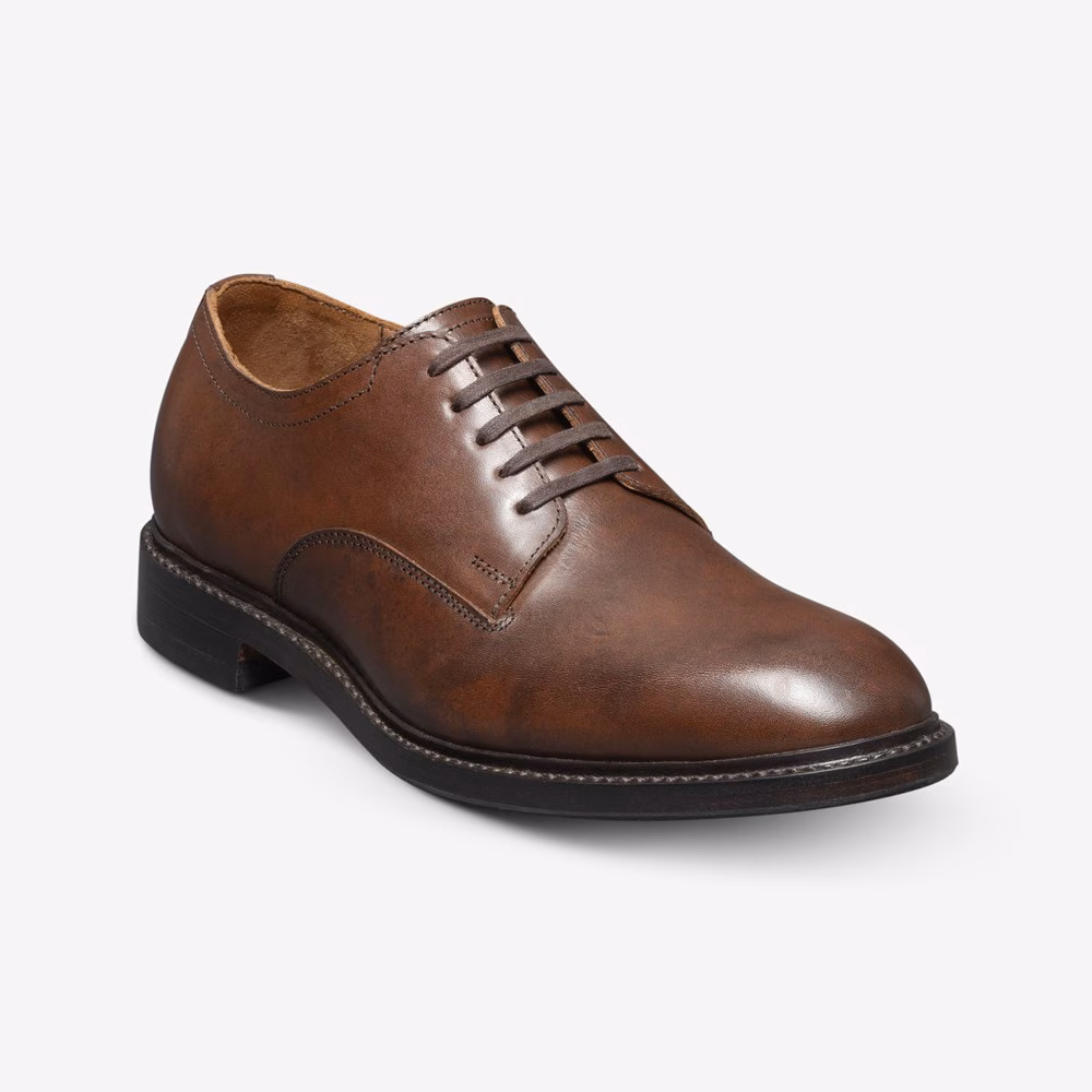 Trevor Plain-toe Derby Shoe