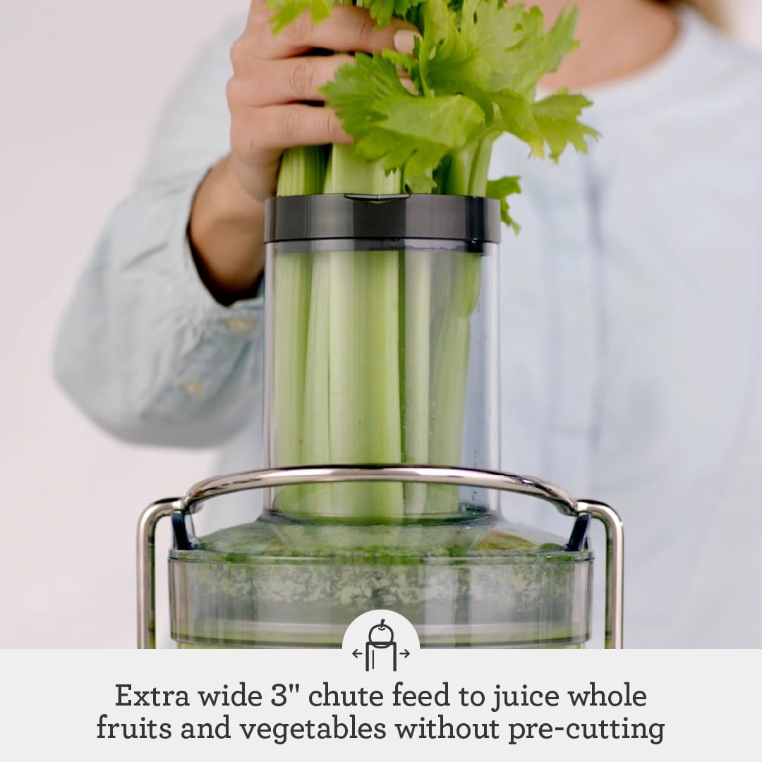 Breville BJE430SIL Juicer, One Size, Silver