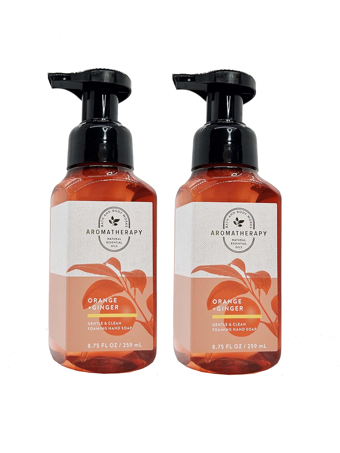Bath and Body Works FRESH AND BRIGHT Hand Soaps - Set of 5 Gentle Foaming Soaps