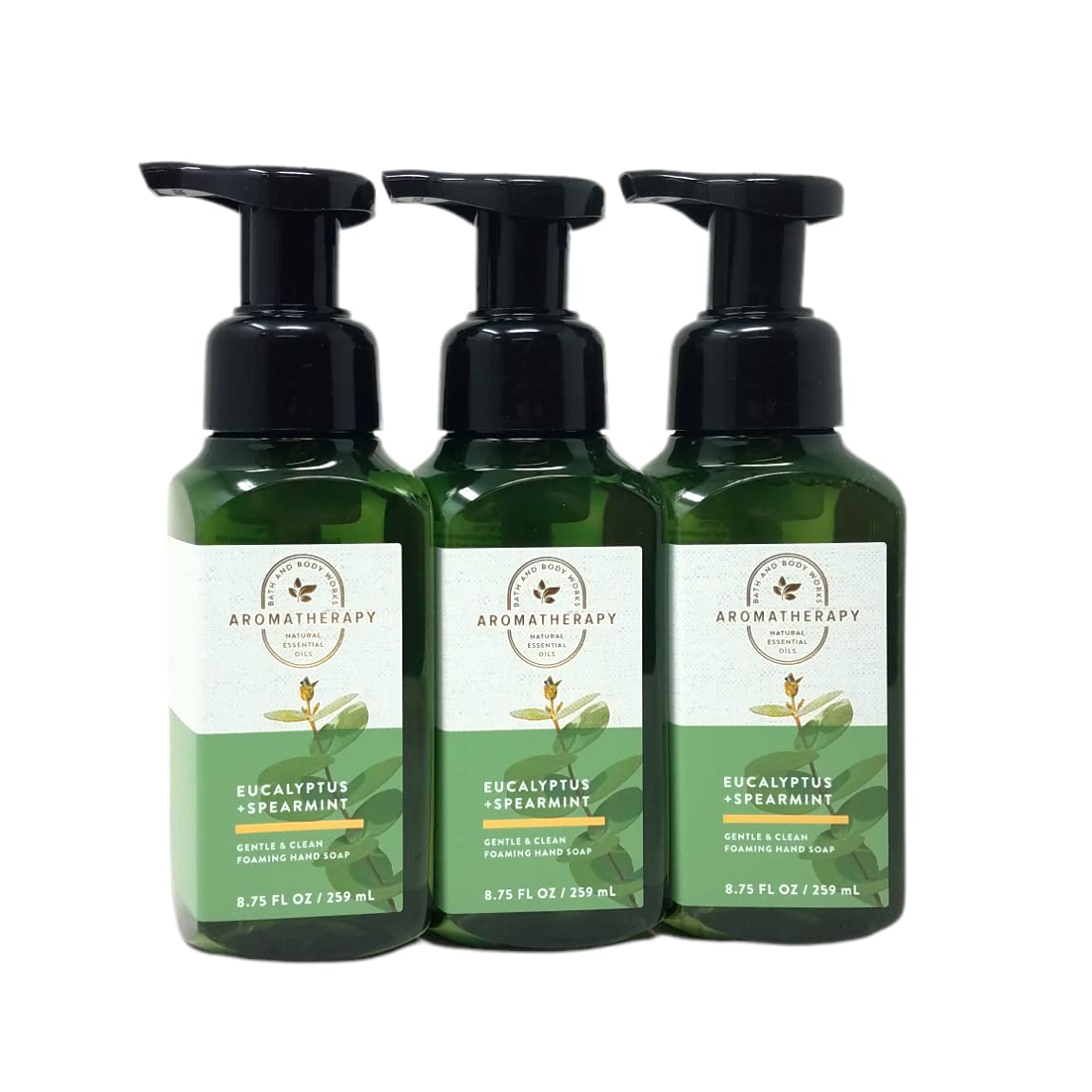 Bath and Body Works FRESH AND BRIGHT Hand Soaps - Set of 5 Gentle Foaming Soaps