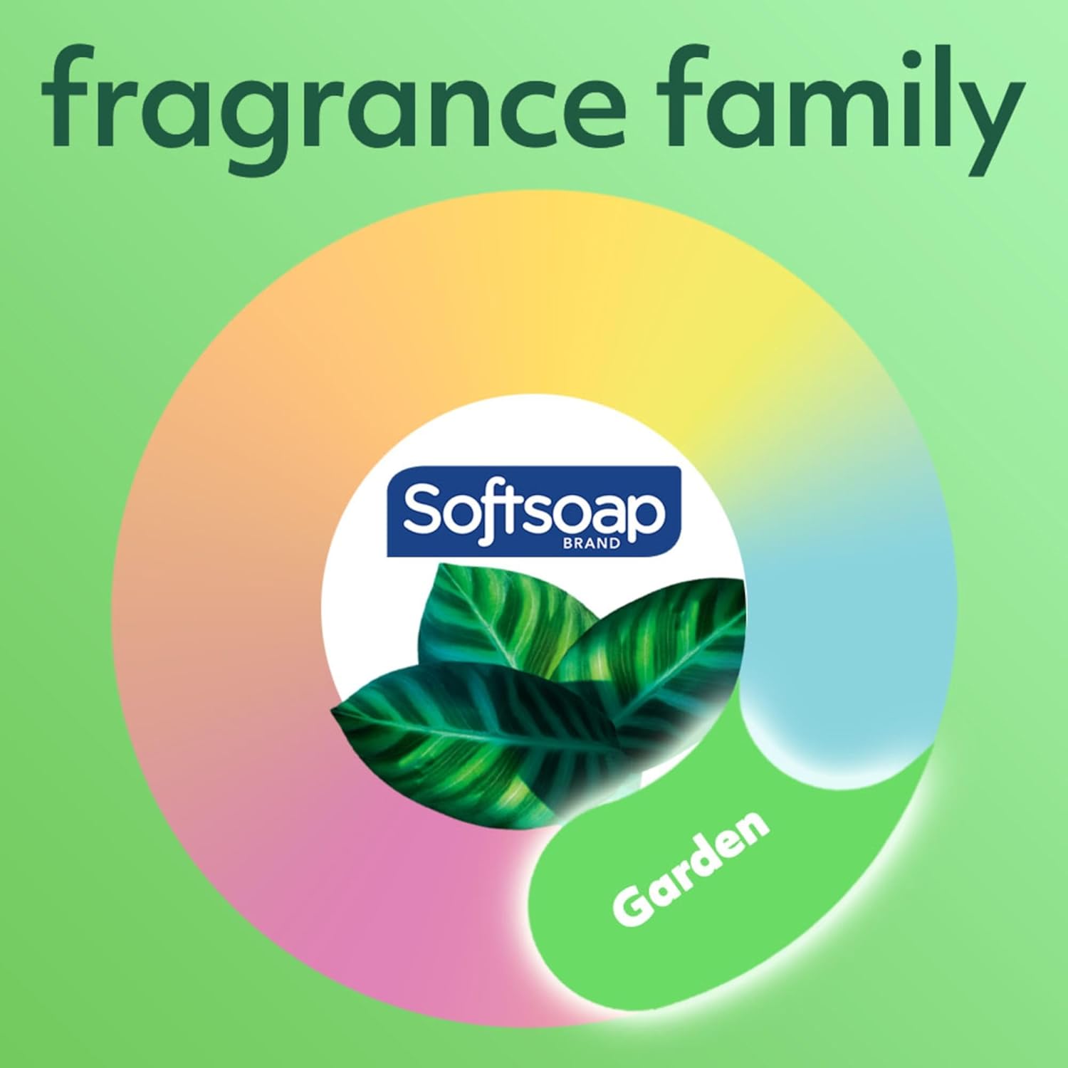 Softsoap Liquid Hand Soap, Fresh Breeze - 7.5 Fl Oz (Pack of 6)