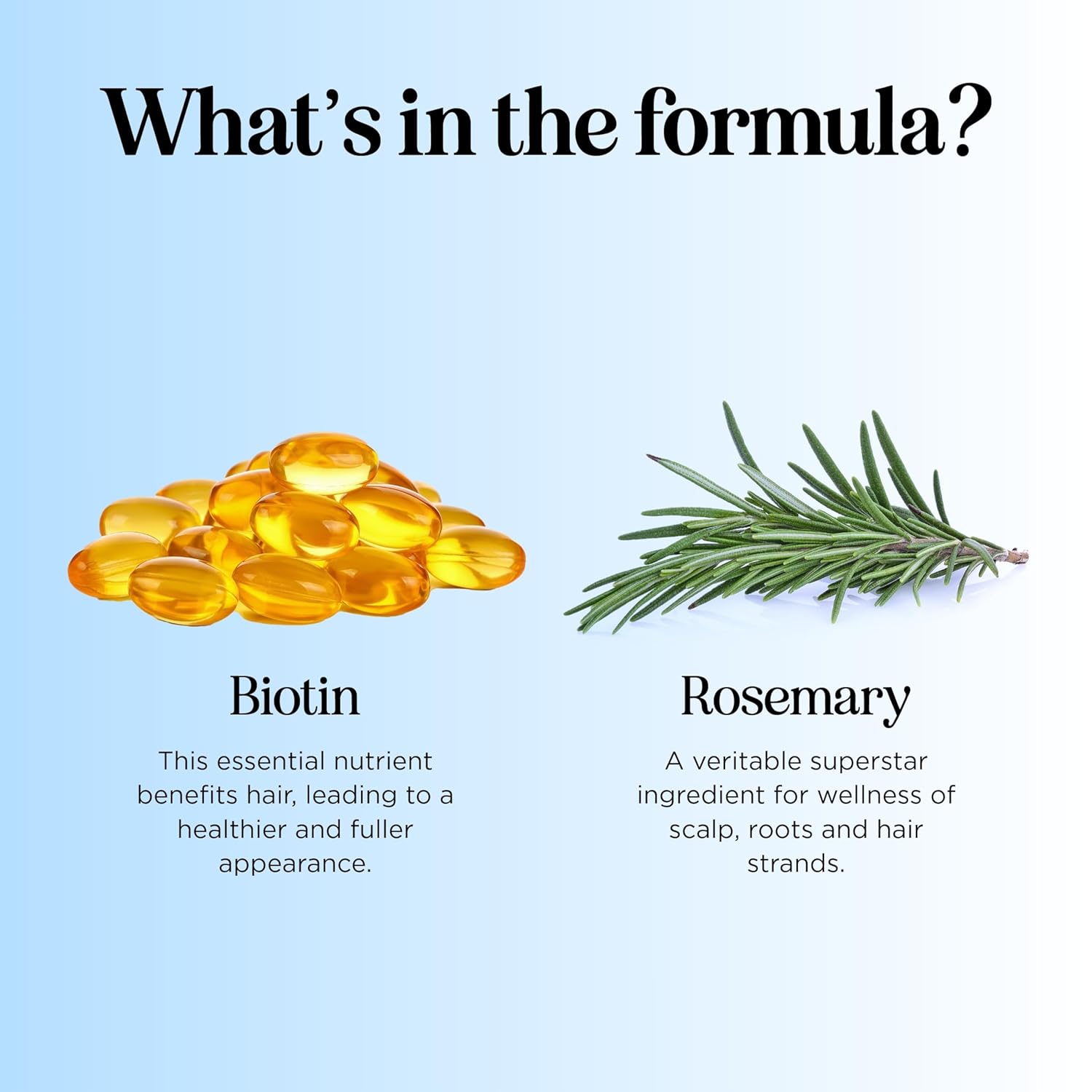 Rosemary and Biotin Shampoo for Thinning Hair - Vegan Volumizing Shampoo for Fine Hair with Argan and Tea Tree Oil - Paraben Silicone and Sulfate Free Shampoo for Dry Damaged Weak and Thin Hair Care