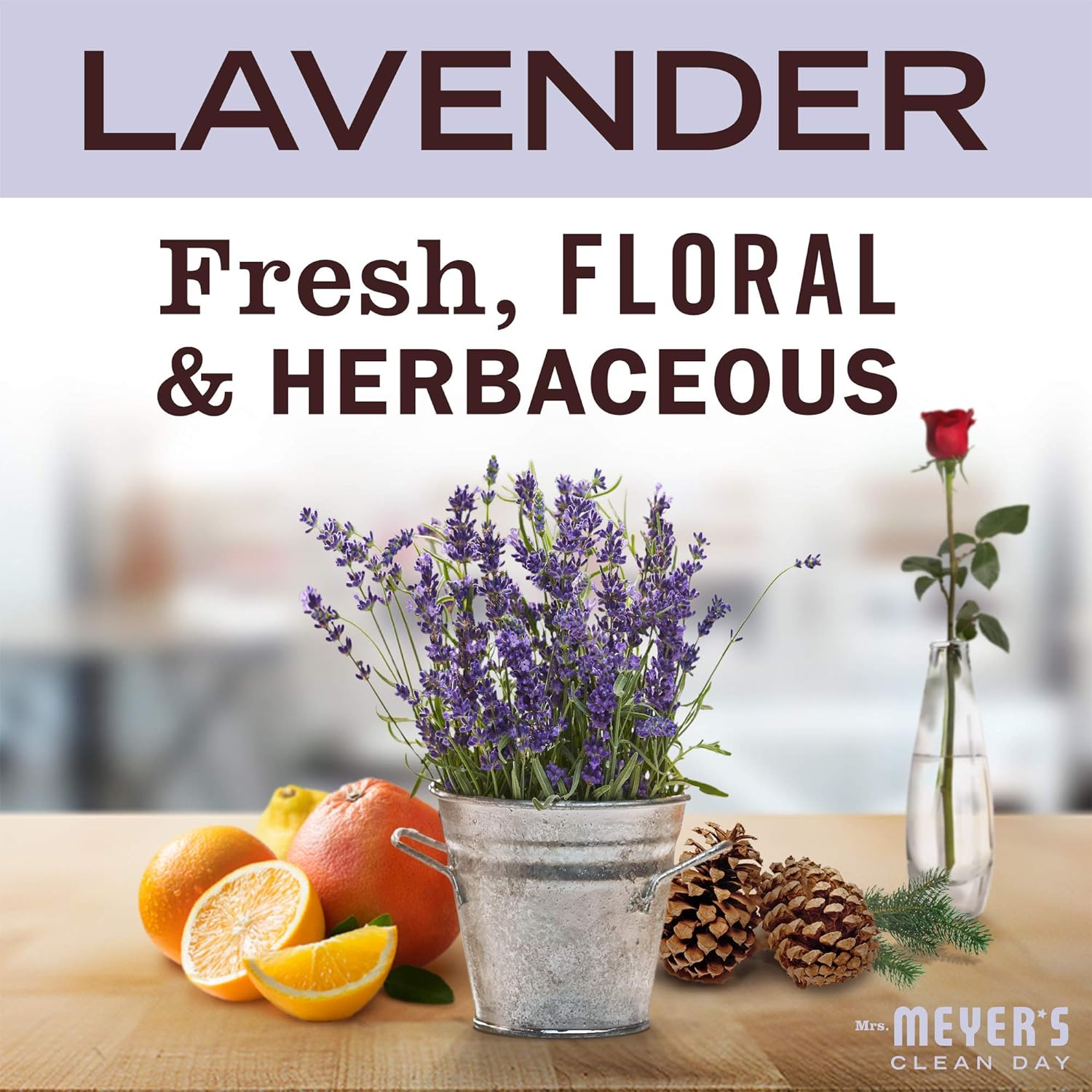 MRS. MEYER'S CLEAN DAY Liquid Laundry Detergent, Biodegradable Formula Infused with Essential Oils, Lavender, 64 oz (64 Loads)