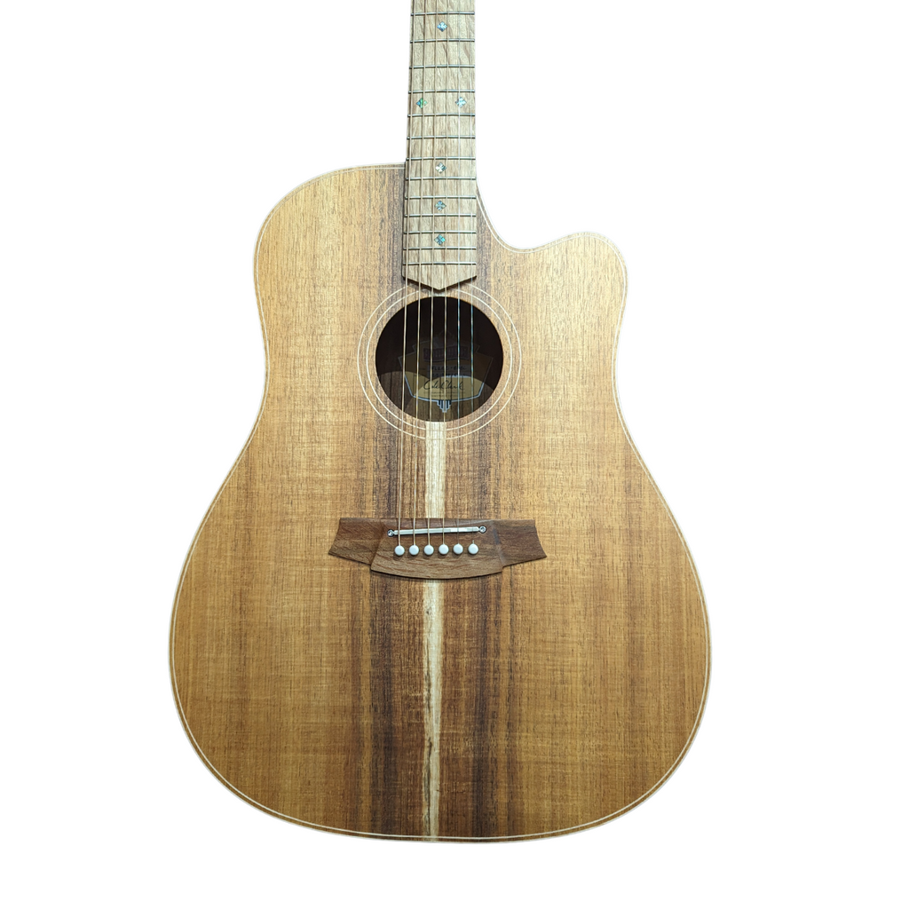 Cole Clark FL2EC Acoustic Electric w/ Humbucker, All Blackwood