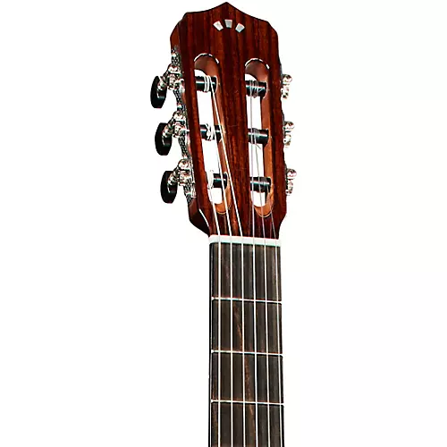 Cordoba Fusion 12 Exotic Top Nylon-String Classical Acoustic-Electric Guitar Cinnamon Burst - musicians--Friend