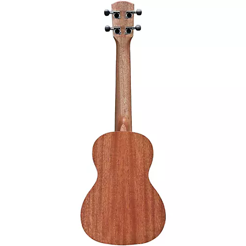 Alvarez RU22C Regent Series Concert Ukulele - musicians--Friend