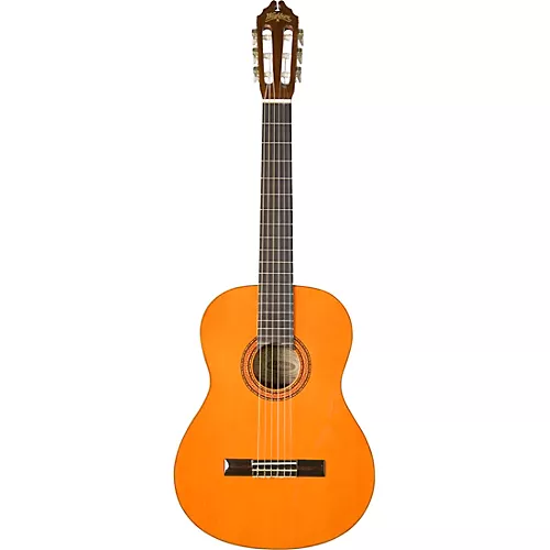 Washburn Classical Acoustic Guitar - musicians--Friend