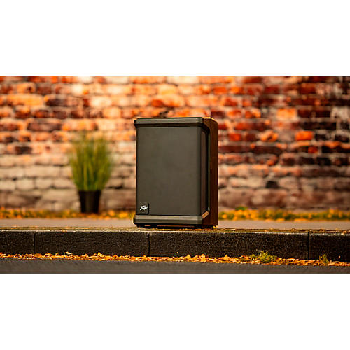 Peavey SOLO Battery-Powered PA - musicians--Friend