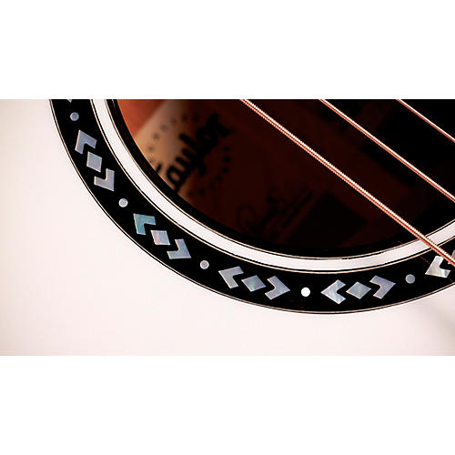 Taylor Custom Torrefied Sitka Spruce-Neo-Tropical Mahogany Grand Pacific Acoustic-Electric Guitar Pearl White - musicians--Friend