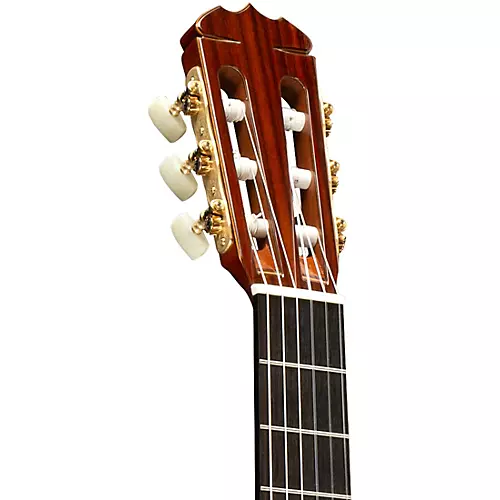 Alvarez Yairi CYM75ce Cutaway Nylon-String Classical Acoustic-Electric Guitar Natural - musicians--Friend