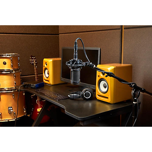 Audio-Technica AT2050 Multi-Pattern Large-Diaphragm Condenser Microphone - musicians--Friend