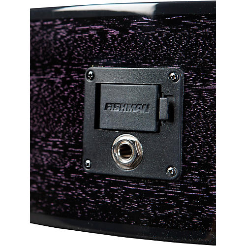 Breedlove Rainforest S African Mahogany Concert Acoustic-Electric Guitar Midnight Blue - musicians--Friend