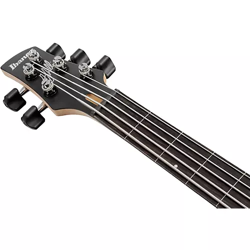 Ibanez GWB25TH Gary Willis Signature 5-String Electric Bass Silver Wave Burst Flat - musicians--Friend