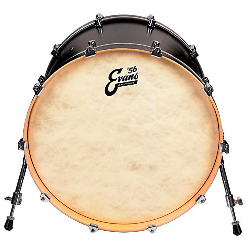 EVANS Calftone Bass Drum Head 18 in. - musicians--Friend