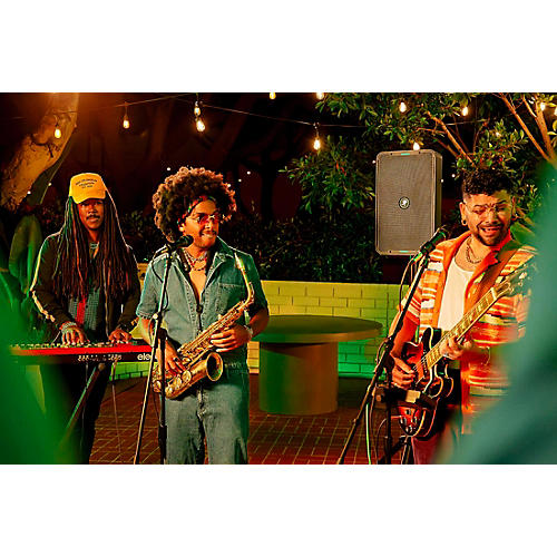 Mackie ShowBox Battery Powered All-In-One Performance Rig With Breakaway Mix Control Black - musicians--Friend