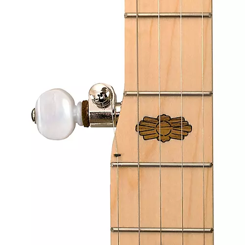Deering Goodtime Open-Back Banjo - musicians--Friend