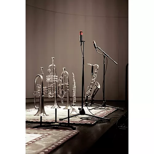 Shure KSM313 Ribbon Microphone - musicians--Friend