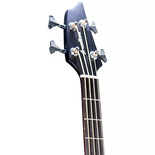 Breedlove Rainforest S Concert Acoustic-Electric Bass Guitar Black Gold - musicians--Friend