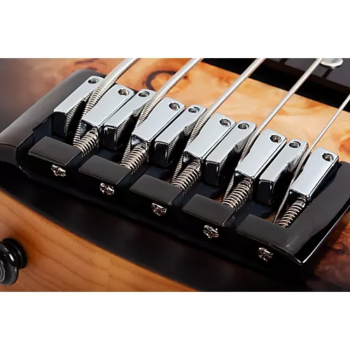 Schecter Guitar Research Reaper-5 5-String Electric Bass Guitar Satin Charcoal Burst - musicians--Friend