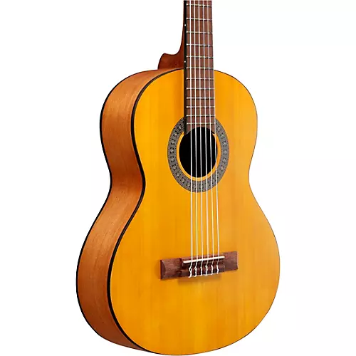 Ibanez GA2OAM 3/4 Size Classical Acoustic Guitar Amber - musicians--Friend