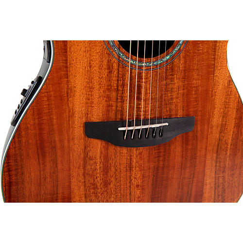 Ovation CS24P Celebrity Series Traditional Plus Mid-Depth Acoustic-Electric Guitar Nutmeg Burled Maple - musicians--Friend
