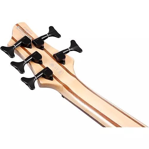 Ibanez BTB865SC 5-String Electric Bass Weathered Black Low Gloss - musicians--Friend