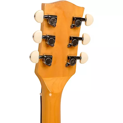 Gold Tone GT-500 Banjo - musicians--Friend