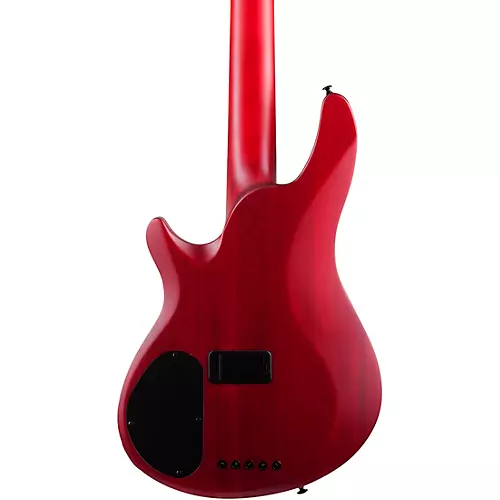 Schecter Guitar Research C-5 GT 5-String Electric Bass Guitar Satin Trans Red - musicians--Friend