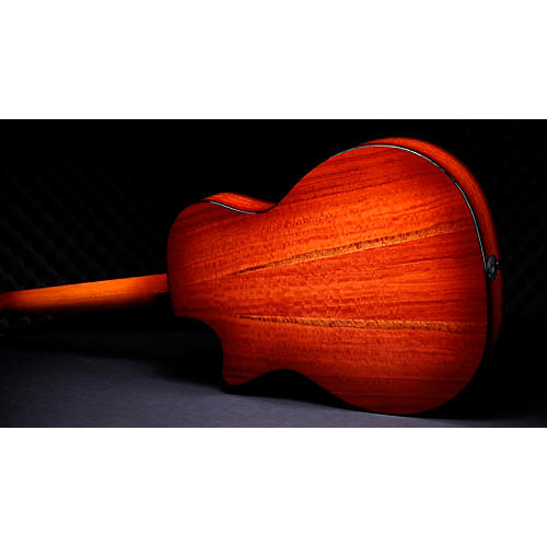 Taylor Custom Sinker Redwood-Red Ironbark Grand Auditorium Acoustic-Electric Guitar Shaded Edge Burst - musicians--Friend