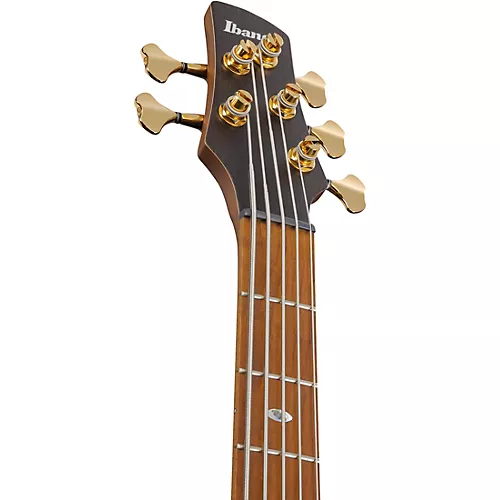 Ibanez Prestige SR4505 5-String Electric Bass Guitar Desert Sunset Burst - musicians--Friend