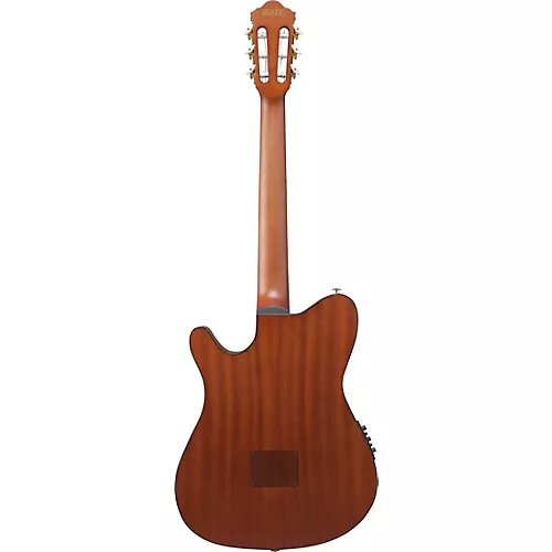Ibanez FRH10N Nylon-String Acoustic-Electric Guitar Rose Gold Metallic Flat - musicians--Friend
