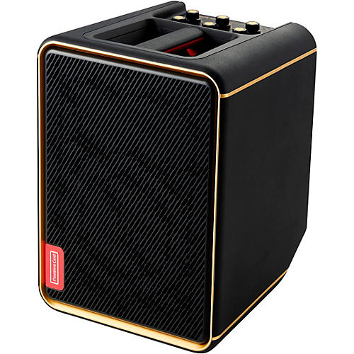 Positive Grid Spark EDGE Portable 4-Channel Smart Amp & PA Black - musicians--Friend