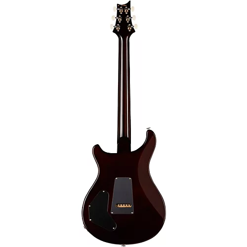 PRS DGT With Birds Electric Guitar Gold Top - musicians--Friend