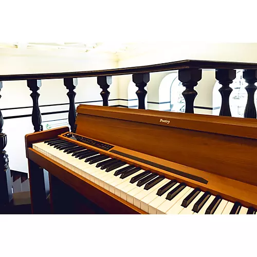 KORG Poetry Chopin-Inspired Digital Piano - musicians--Friend