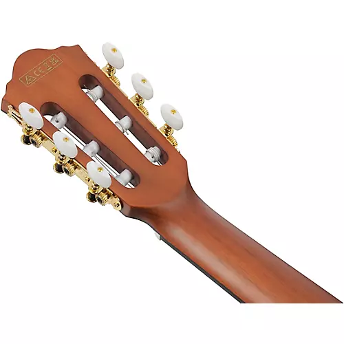 Ibanez FRH10N Nylon-String Acoustic-Electric Guitar Rose Gold Metallic Flat - musicians--Friend