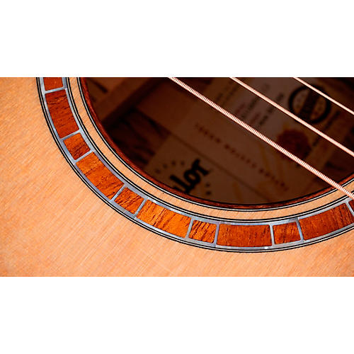 Taylor Custom Bearclaw Sitka Spruce-Tiger Myrtle Grand Auditorium Acoustic-Electric Guitar Natural - musicians--Friend